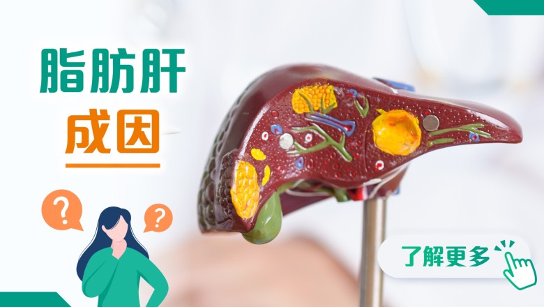 202606 health info banner_1